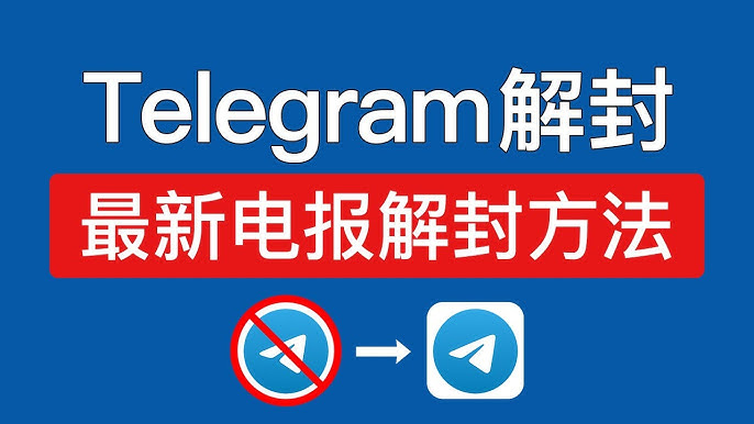 《纸飞机：探索全球纸飞机文化，无中文版App也能飞向世界！