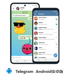 纸飞机大全中文版：制作与飞行技巧解析