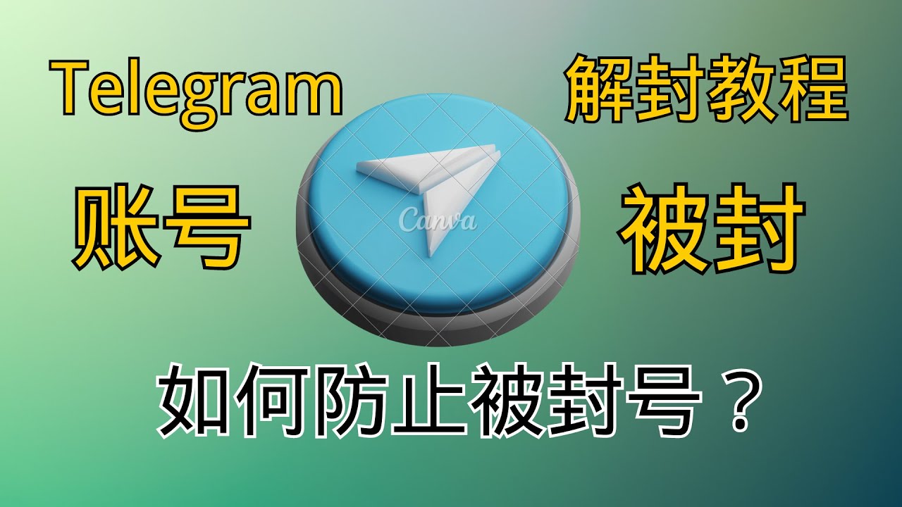 纸飞机App中文版下载蓝奏云教程
