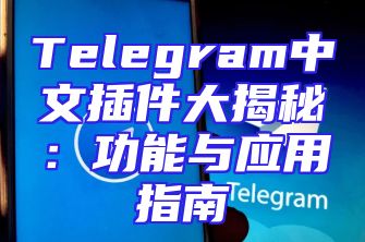 Telegram中文插件大揭秘：功能与应用指南