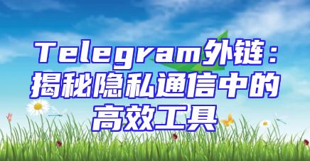 Telegram外链：揭秘隐私通信中的高效工具