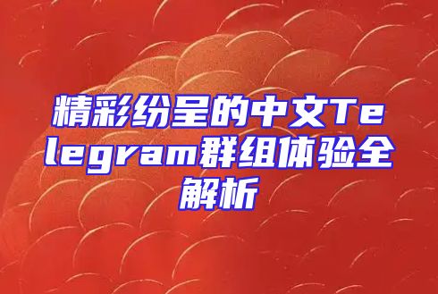 精彩纷呈的中文Telegram群组体验全解析