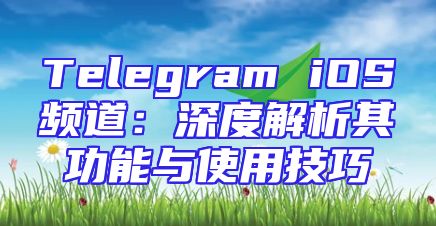 Telegram iOS频道：深度解析其功能与使用技巧