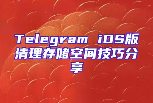 Telegram iOS版清理存储空间技巧分享