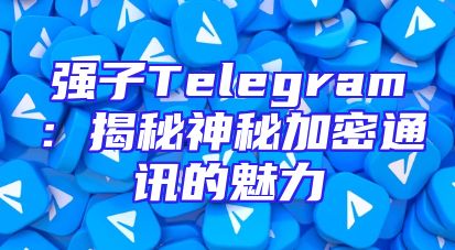 强子Telegram：揭秘神秘加密通讯的魅力