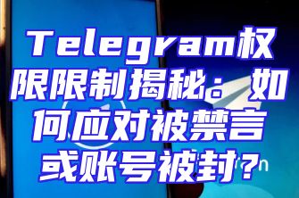 Telegram权限限制揭秘：如何应对被禁言或账号被封？