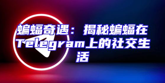 蝙蝠奇遇：揭秘蝙蝠在Telegram上的社交生活