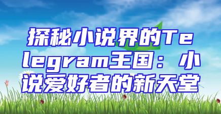 探秘小说界的Telegram王国：小说爱好者的新天堂