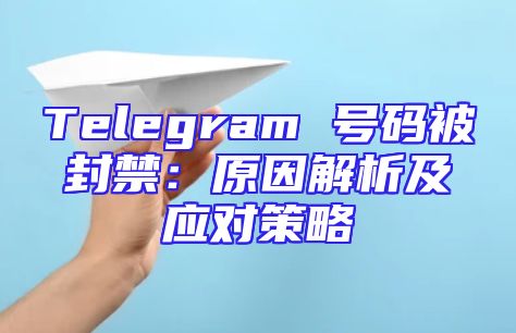 Telegram 号码被封禁：原因解析及应对策略