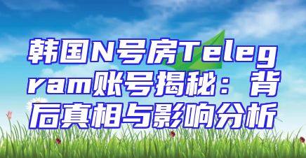 韩国N号房Telegram账号揭秘：背后真相与影响分析