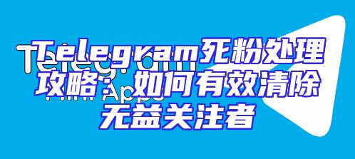 Telegram死粉处理攻略：如何有效清除无益关注者