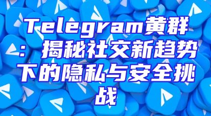 Telegram黄群：揭秘社交新趋势下的隐私与安全挑战