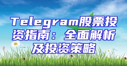 Telegram股票投资指南：全面解析及投资策略