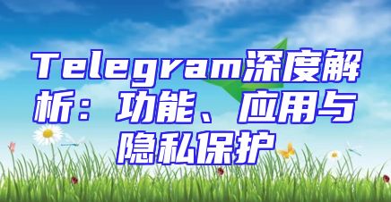 Telegram深度解析：功能、应用与隐私保护
