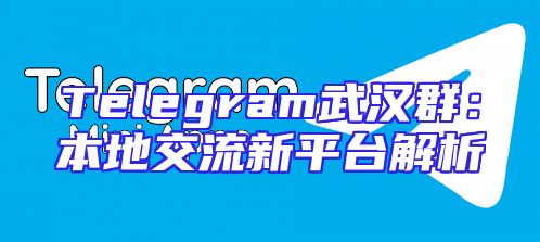Telegram武汉群：本地交流新平台解析